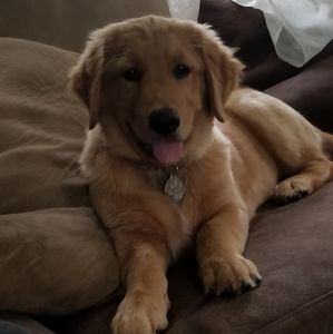 Meet your Posher, Mary